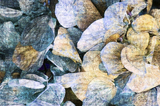 3a