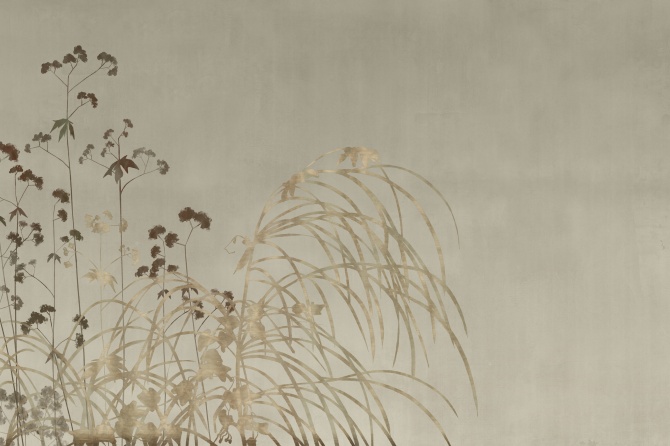 Flor De Luna