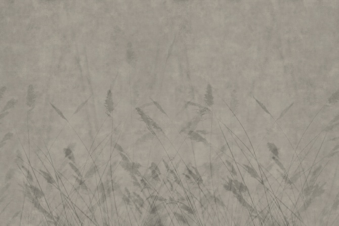 3a