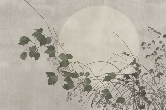 Flor De Luna