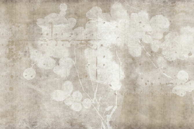Lunaria