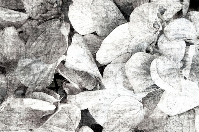 4a