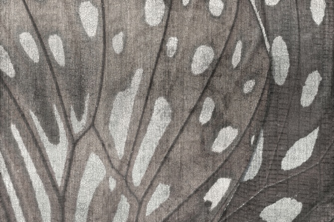 3b
