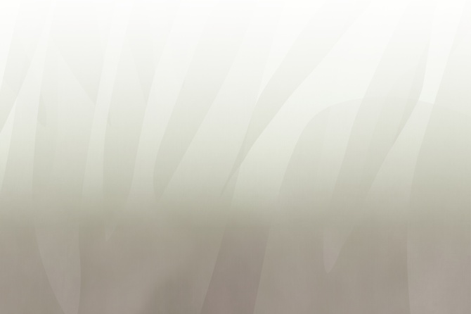 2b