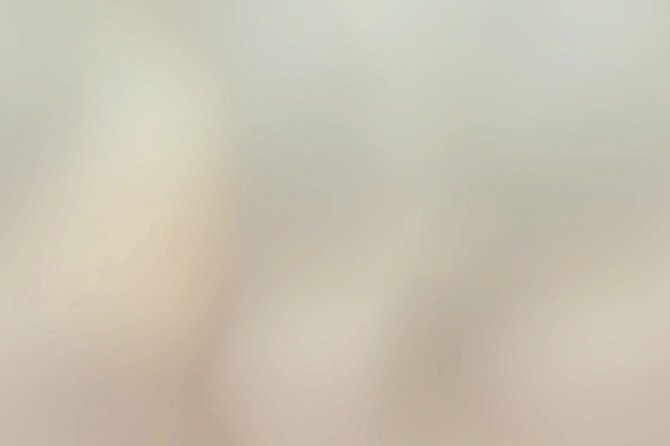2b