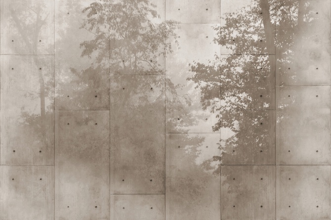 3a
