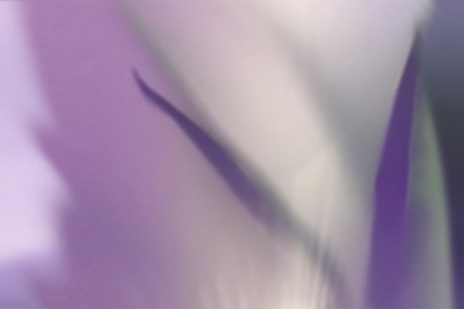 1b