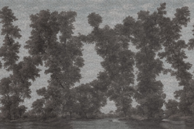 L’isola degli alberi