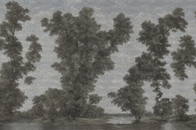 L’isola degli alberi