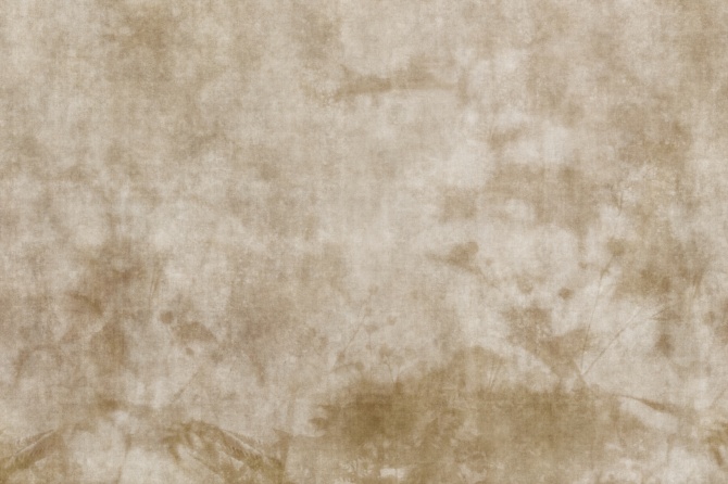 3a