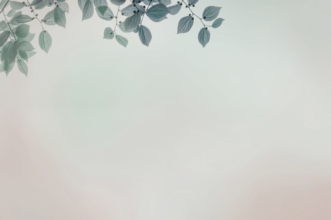 2b