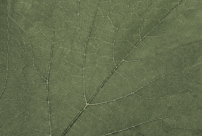 1b