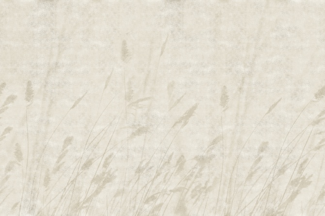 2b