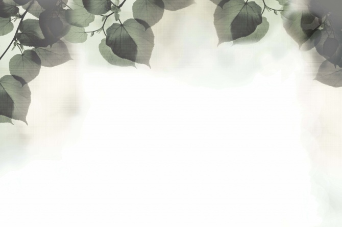 1b