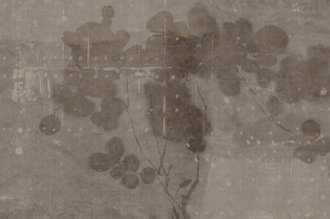 Lunaria