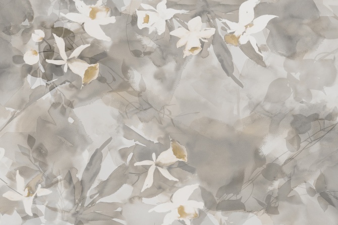 Daffodil Dream