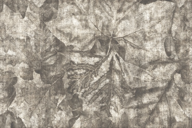 3a