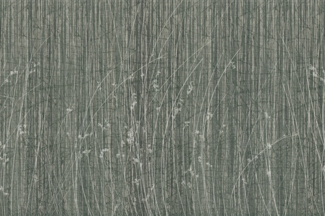 Sideritis
