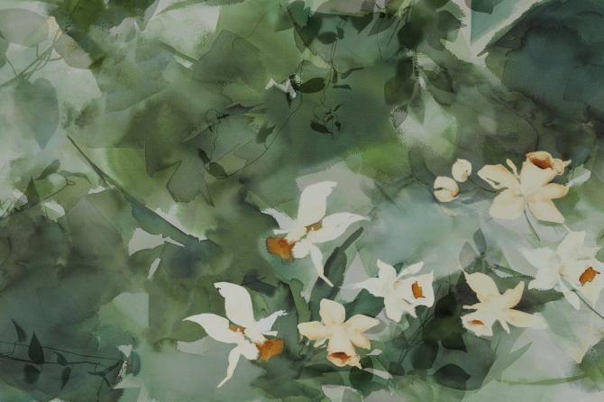 Daffodil Dream