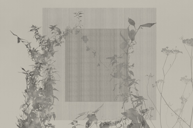 Arbor Vitae