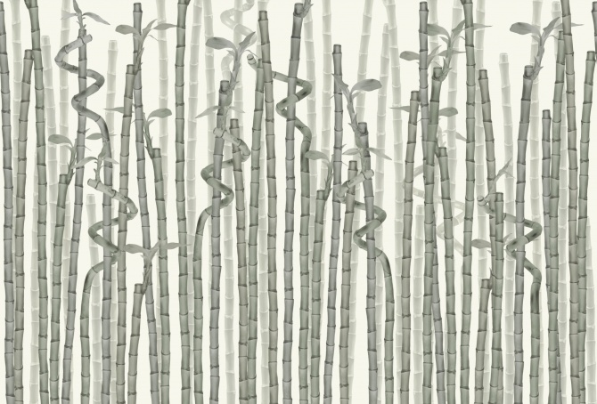 1b