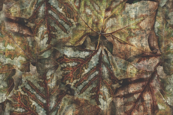 1b