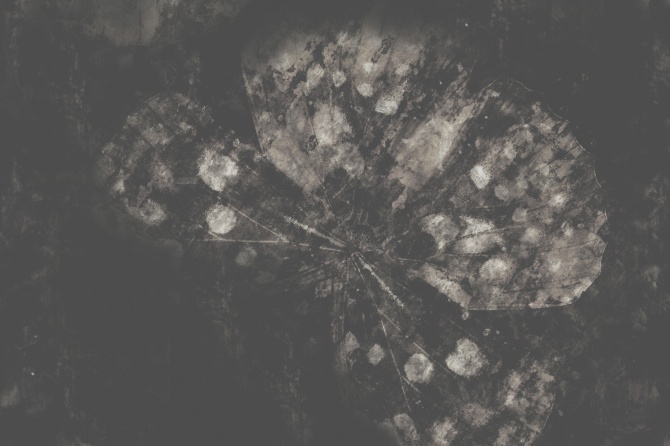 4b