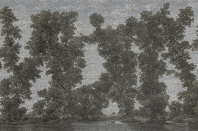 L’isola degli alberi
