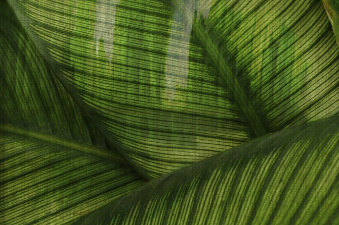 1b