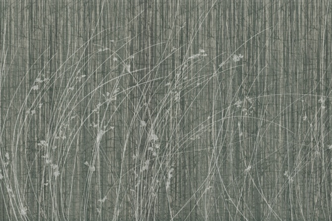 Sideritis