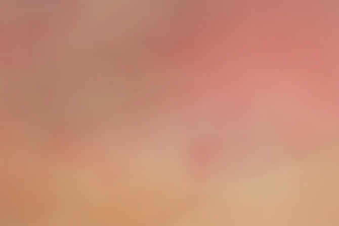 1b