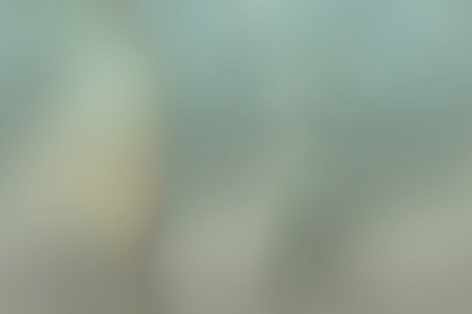 1b
